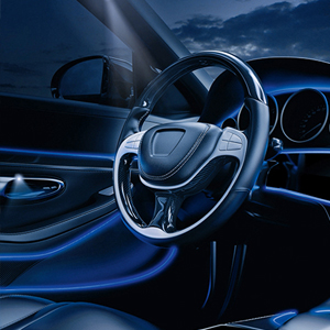 custom automotive ambient light